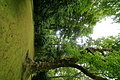 Bernhard Saalfeld - DSC04152.JPG