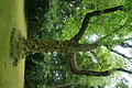 Bernhard Saalfeld - DSC04155.JPG