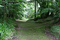 Bernhard Saalfeld - DSC04161.JPG