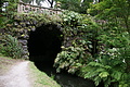 Bernhard Saalfeld - DSC04183.JPG