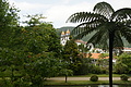 Bernhard Saalfeld - DSC04191.JPG
