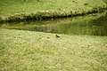 Bernhard Saalfeld - DSC04195.JPG