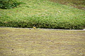 Bernhard Saalfeld - DSC04197.JPG