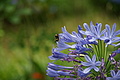 Bernhard Saalfeld - DSC04202.JPG