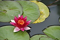 Bernhard Saalfeld - DSC04208.JPG