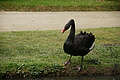 Bernhard Saalfeld - DSC04211.JPG