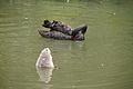 Bernhard Saalfeld - DSC04214.JPG