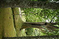 Bernhard Saalfeld - DSC04215.JPG