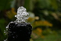 Bernhard Saalfeld - DSC04216.JPG
