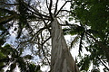 Bernhard Saalfeld - DSC04222.JPG