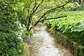 Bernhard Saalfeld - DSC04224.JPG
