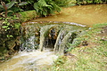 Bernhard Saalfeld - DSC04231.JPG