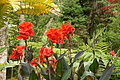 Bernhard Saalfeld - DSC04232.JPG
