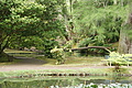 Bernhard Saalfeld - DSC04239.JPG