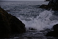 Bernhard Saalfeld - DSC04265.JPG