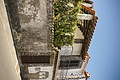 Bernhard Saalfeld - DSC04287.JPG
