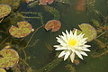Bernhard Saalfeld - DSC04292.JPG