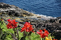 Bernhard Saalfeld - DSC04296.JPG