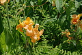 Bernhard Saalfeld - DSC04297.JPG