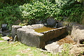 Bernhard Saalfeld - DSC04320.JPG