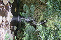 Bernhard Saalfeld - DSC04323.JPG