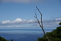 Bernhard Saalfeld - DSC04326.JPG