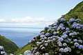 Bernhard Saalfeld - DSC04327.JPG