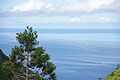 Bernhard Saalfeld - DSC04328.JPG
