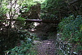 Bernhard Saalfeld - DSC04330.JPG