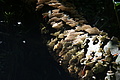 Bernhard Saalfeld - DSC04340.JPG