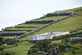 Bernhard Saalfeld - DSC04345.JPG