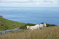 Bernhard Saalfeld - DSC04351.JPG