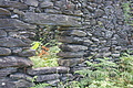 Bernhard Saalfeld - DSC04352.JPG