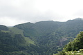 Bernhard Saalfeld - DSC04380.JPG