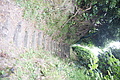 Bernhard Saalfeld - DSC04394.JPG