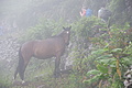Bernhard Saalfeld - DSC04431.JPG