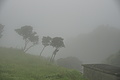 Bernhard Saalfeld - DSC04452.JPG
