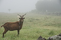 Bernhard Saalfeld - DSC04454.JPG