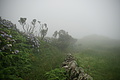 Bernhard Saalfeld - DSC04462.JPG