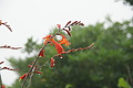 Bernhard Saalfeld - DSC04464.JPG