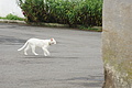 Bernhard Saalfeld - DSC04489.JPG