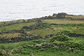 Bernhard Saalfeld - DSC04499.JPG