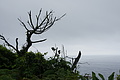 Bernhard Saalfeld - DSC04516.JPG