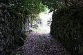 Bernhard Saalfeld - DSC04519.JPG