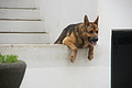 Bernhard Saalfeld - DSC04565.JPG