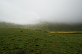 Bernhard Saalfeld - DSC04626.JPG