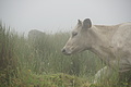 Bernhard Saalfeld - DSC04630.JPG