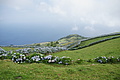 Bernhard Saalfeld - DSC04633.JPG