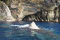 Bernhard Saalfeld - DSC04658.JPG
