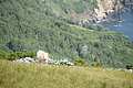 Bernhard Saalfeld - DSC04708.JPG